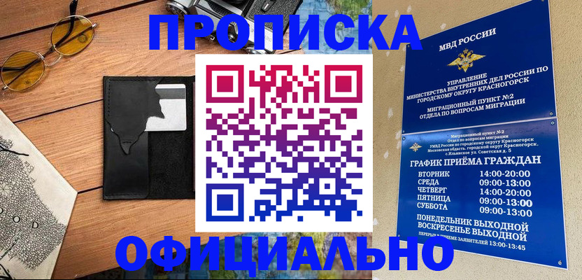 прописка поиск в Элисте